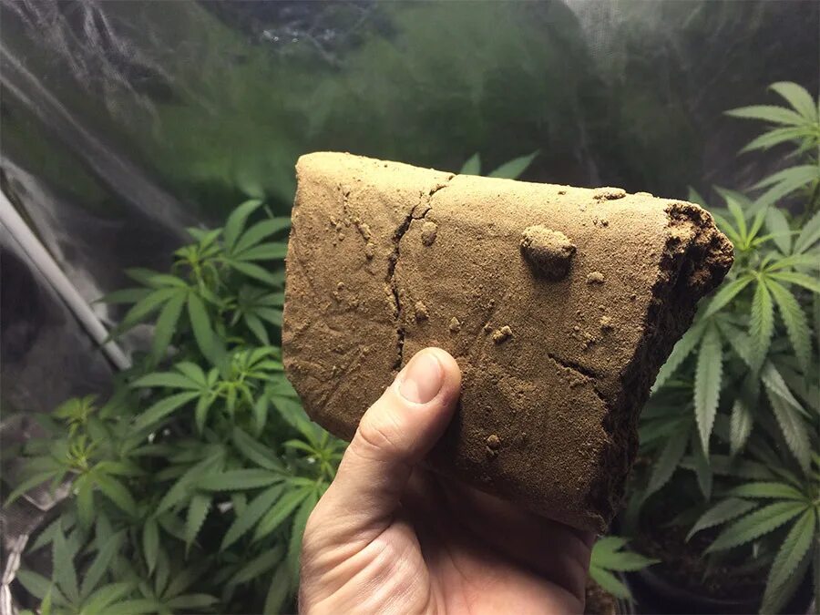 Wrong hash