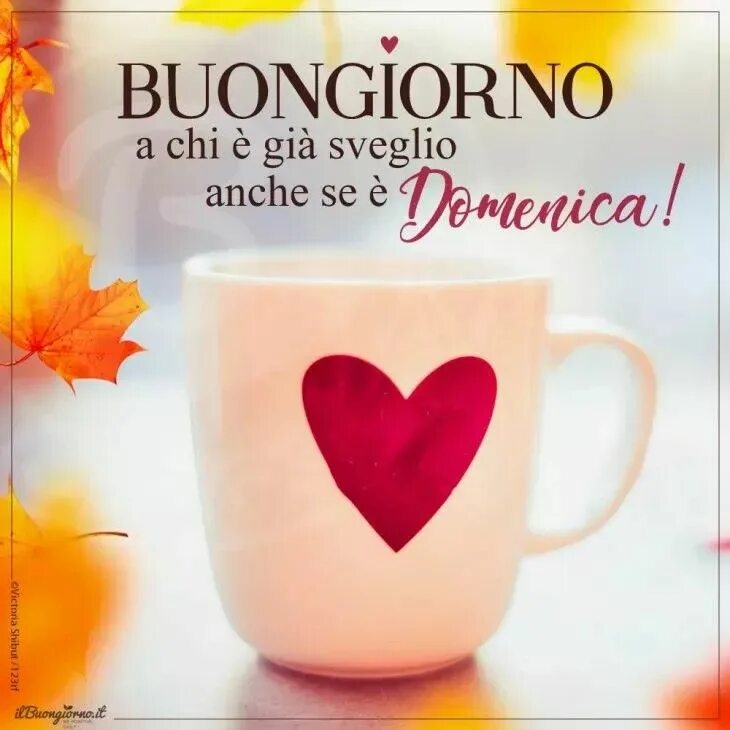 Buongiorno перевод. Buongiorno. Buongiorno картинки. Buongiorno domenica картинки. Открытка buongiorno Amore.