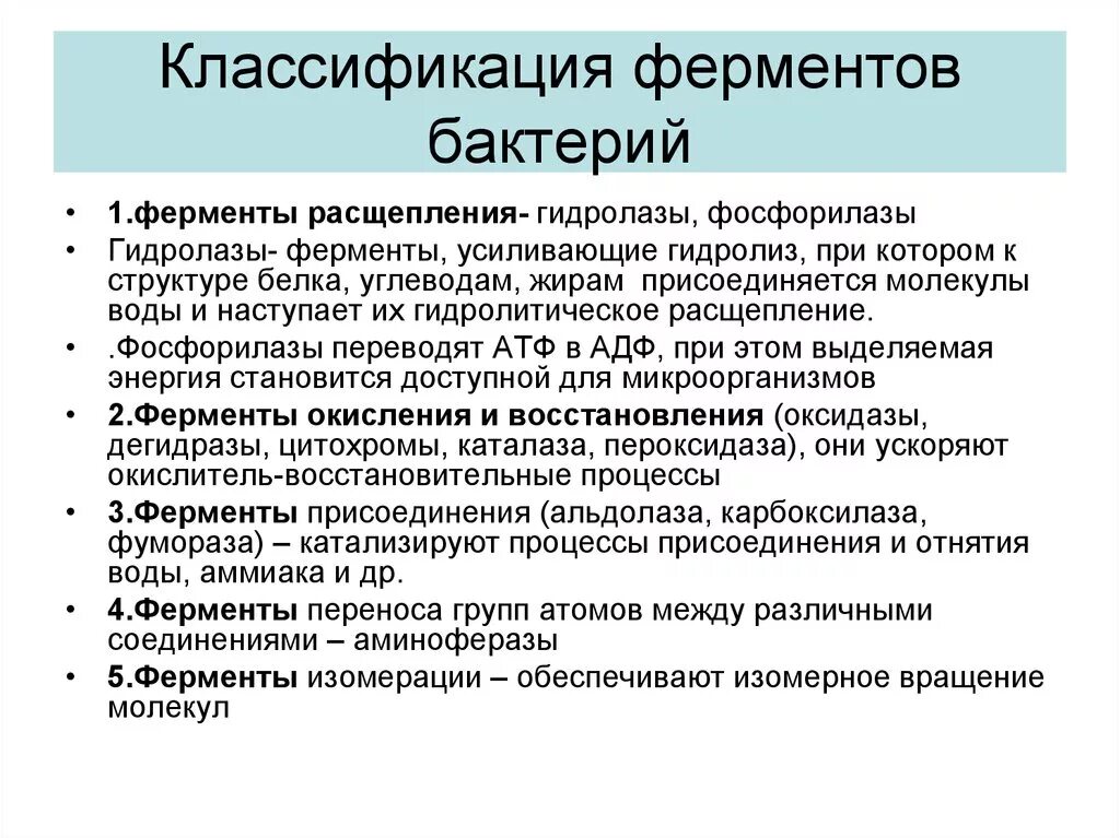 6 классов ферментов. Ферменты микроорганизмов. Классификация ферментов.. Классы ферментов бактерий микробиология. Классификация ферментов бактерий по механизму действия. Ферменты патогенности бактерий микробиология.