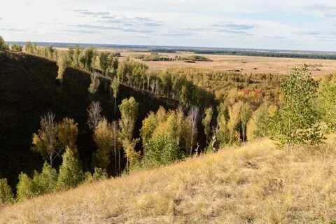 Курганская тюменская
