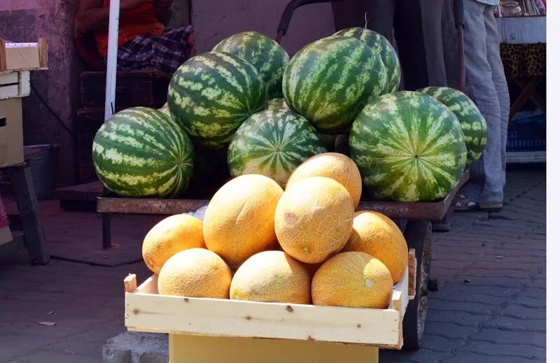 Туркменистан,дыни, бахчи. Арбуз и дыня. Прилавок с арбузами. Дыня на рынке. Как продать арбузы