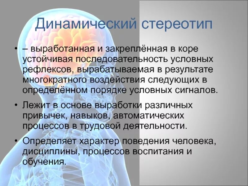 Основа динамического стереотипа
