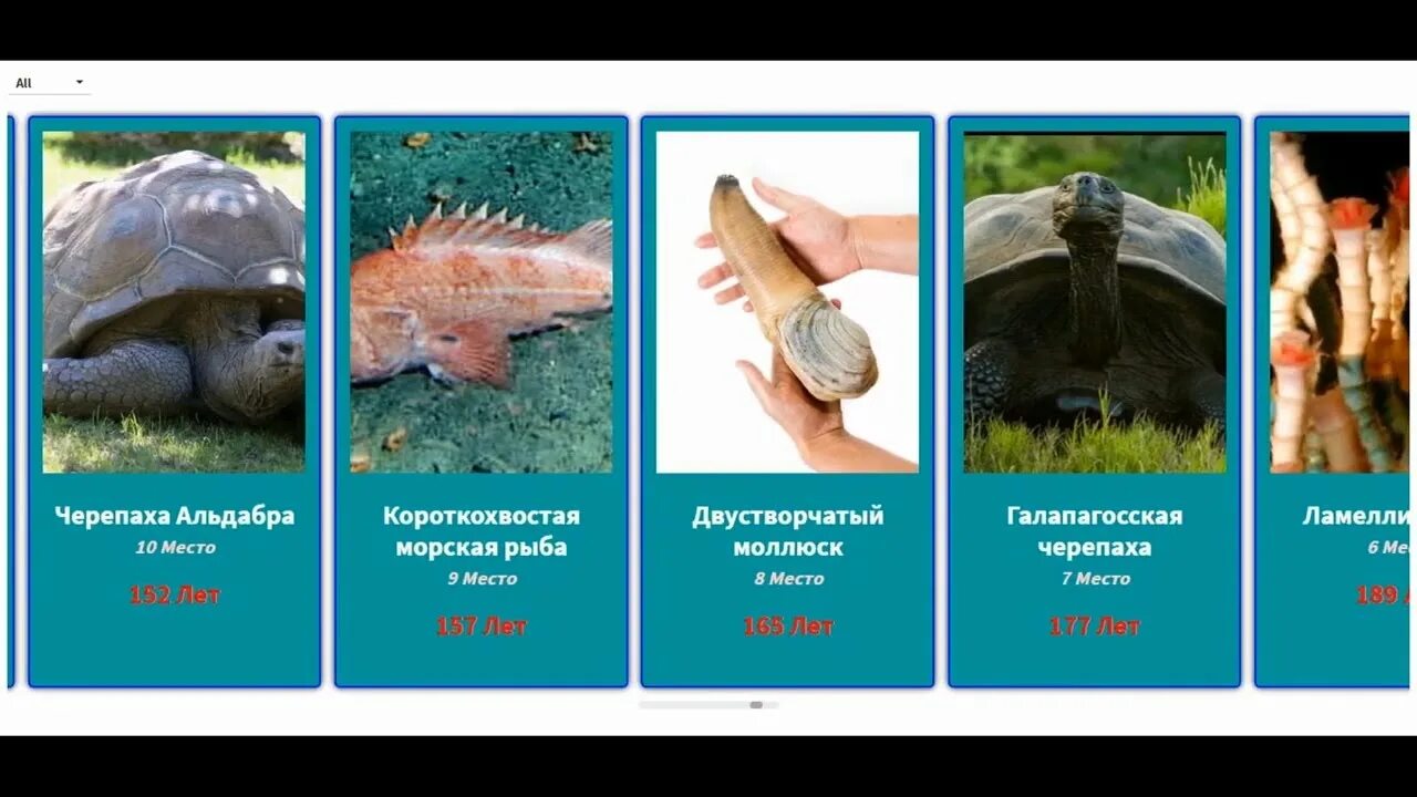 Самое долгоживущее млекопитающее