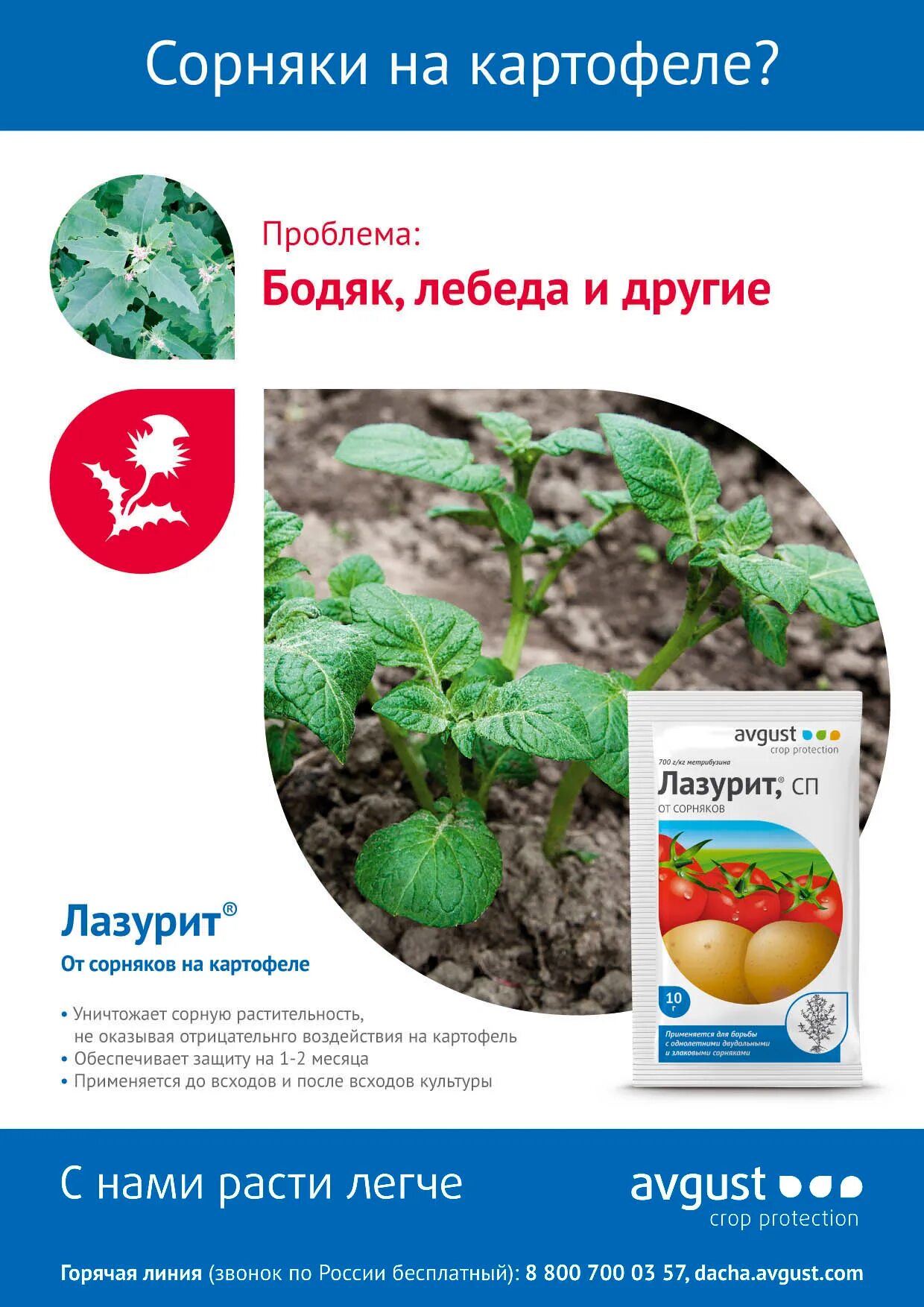 Лазурит сп применение. Гербицид лазурит, сп (20 гр). лазурит от сорняков 20г. лазурит 20гр август (сорн.в картоф,томатах) х100. гербицид лазурит 20 гр.