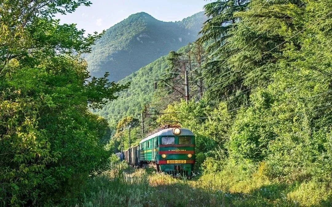 Шицквара Абхазия. Джирхуа Абхазия. Станция Гвандра Абхазия. Джунгли Абхазия Гагра. Москва гагры поезд цена 2024