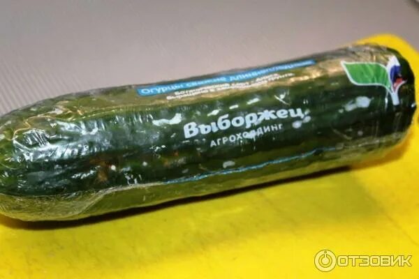 Огурцы в вакуумной упаковке. Упакованные огурцы. Огурцы свежие упаковка. Свежие огурцы в вакууме. Свежие огурцы в вакууме.