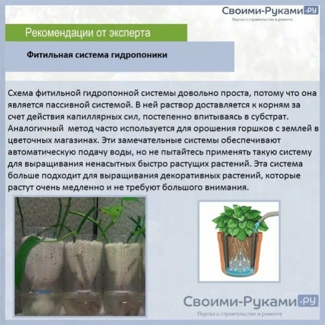 Почему жизнь леса невозможна без почвы. Чем полезна почва. Верхний плодородный слой. Почва и человек презентация 8 класс. Без почвы не будет.