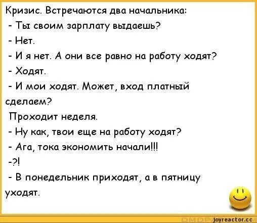 Подними нет. Анекдоты про зарплату. Анекдот про начальника. Анекдоты про руководителей. Прикольные анекдоты про директора.