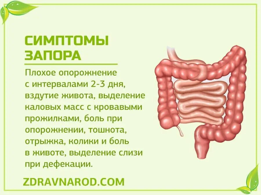 Признаки болезни кишечника у женщины. Полип кишечника прямой кишки. Полипы в кишечнике симптомы. Полипы Толстого кишечника.