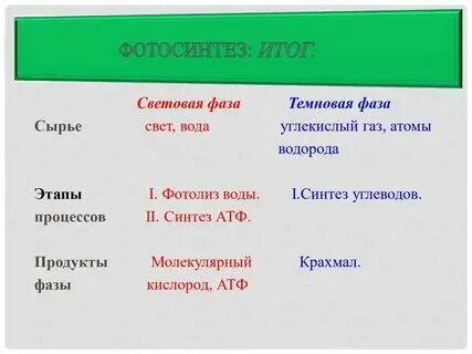Темновая фаза исходные продукты
