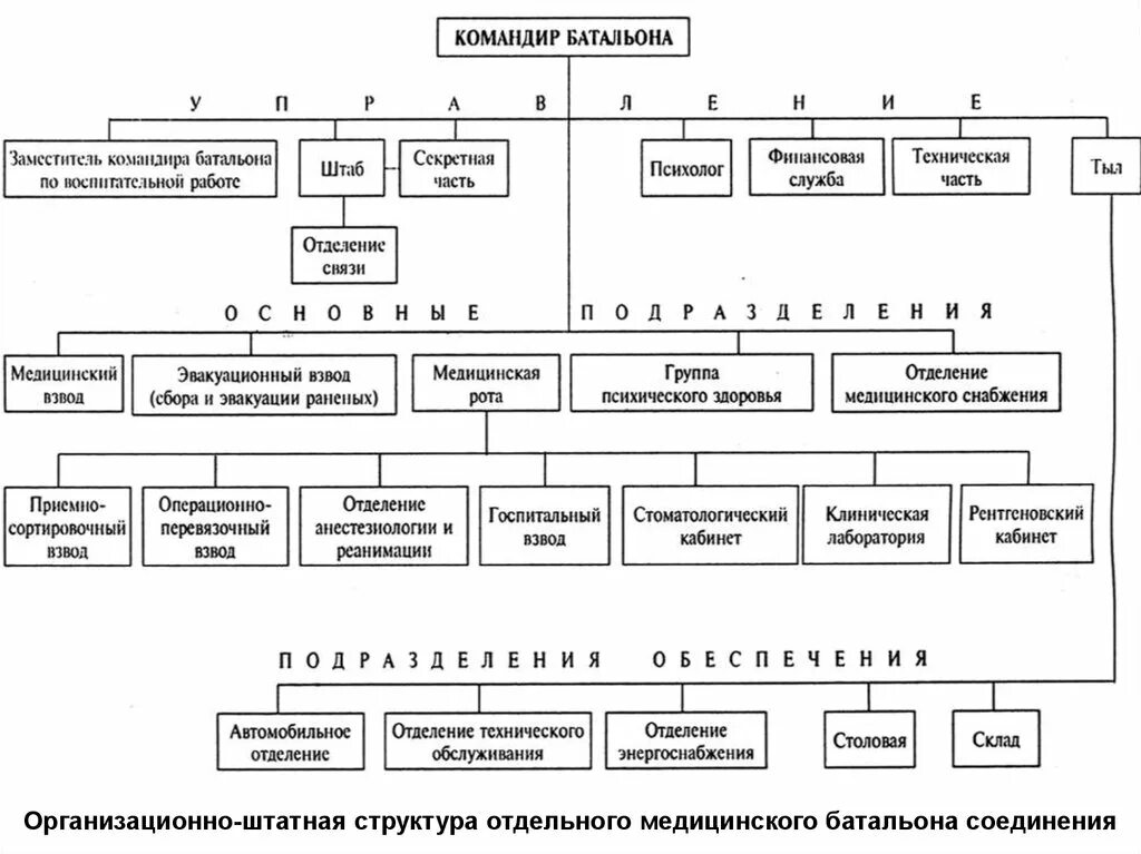 Командир батальона какая должность. Медицинский взвод мотострелкового батальона структура. Штатная структура медицинского батальона. Штатная структура дивизии ВДВ. Штатная структура батальона ВДВ.