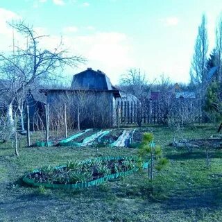 Сады дорожник