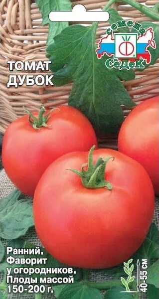 Томат "дубрава": характеристика и описание сорта помидор "дубок", выращивание в 