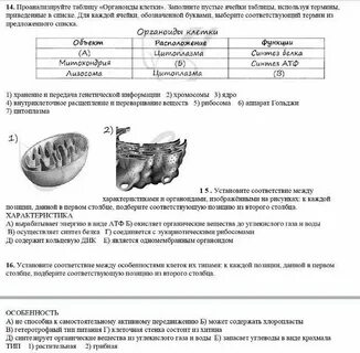 Контрольная работа по биологии клетка ткани
