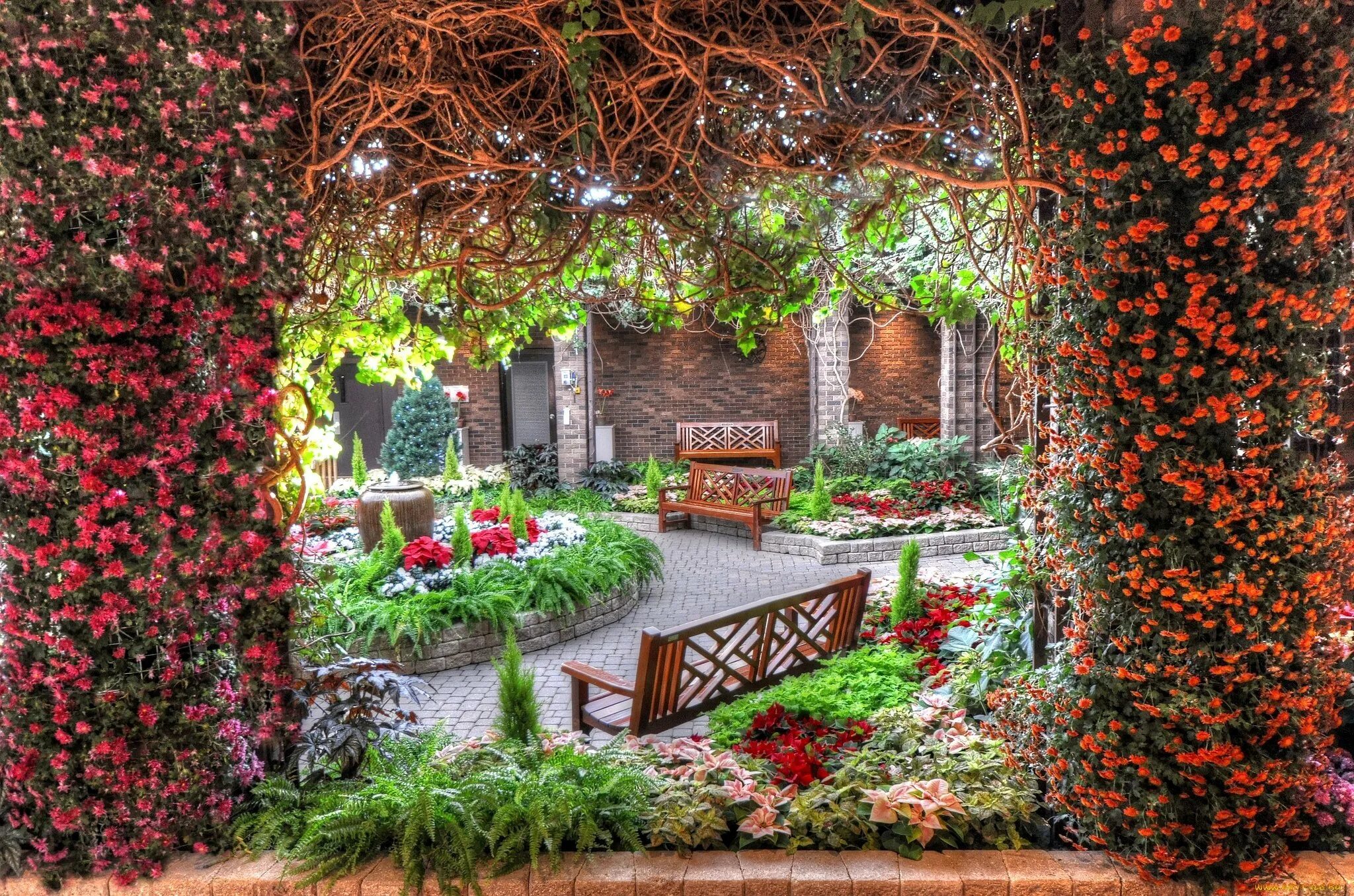 Цветы во дворе частного дома. Красивый сад. Сад с цветами. Красивые Дворики. Уютный дворик с цветами.