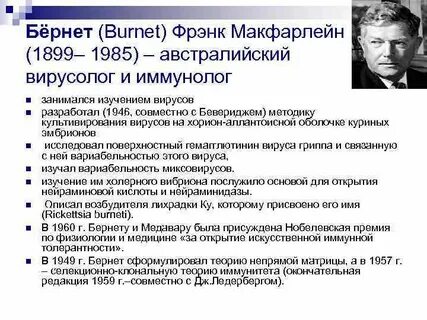 Бернет