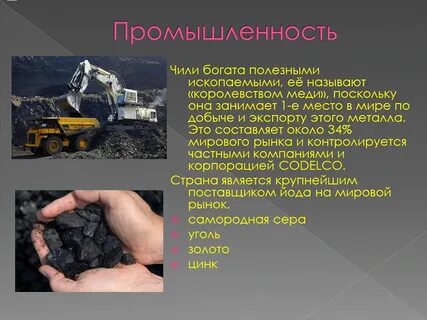 Отрасли чили