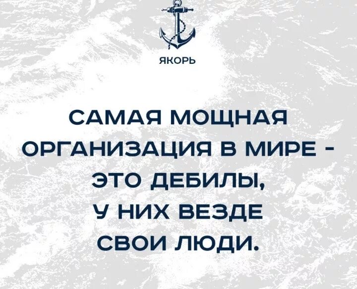 Идиоты самая мощная организация. Дебилы самая мощная организация в мире. Дебилы самая мощная организация в мире. Дебилы самая мощная организация. Дебилы самая мощная организация в мире.