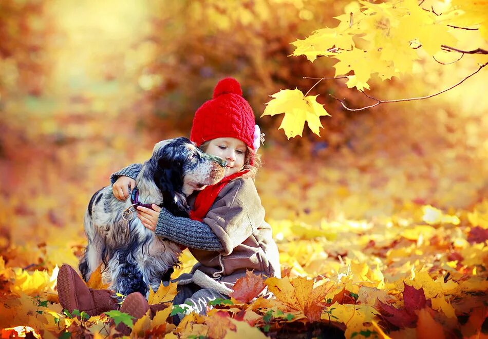 Осень радость. Осень дети и животные. Животные осенью для детей. Осеннее добро.