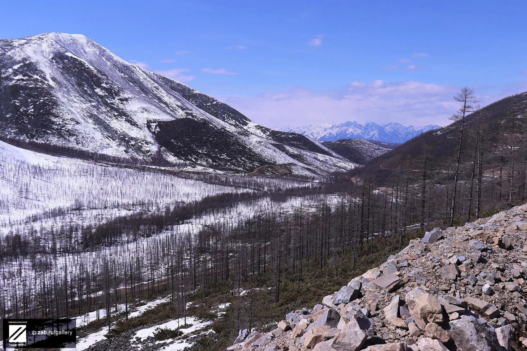 Погода в чаре каларский. Каларский хребет. Хребет Кодар Чара. Горы Каларского района. Удокан Каларский район.