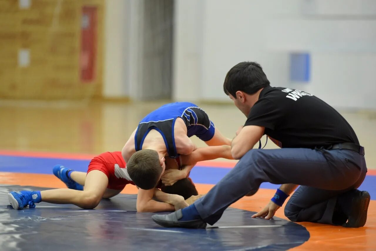 Акжол махамаджанович махмудов броски. Фок увд по свао. Вольная борьба тренировки. Увд по свао. Тренировка по вольной борьбе.