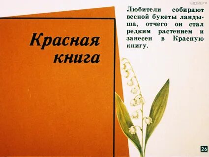 Тест по биологии 7 класс однодольные