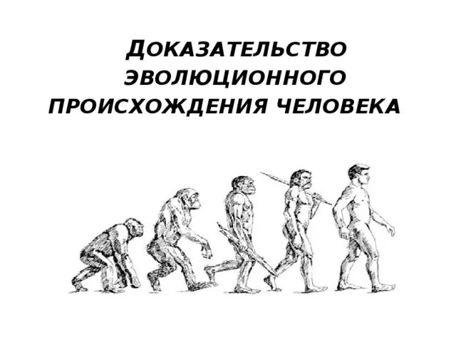 Эволюционное происхождение человека презентация 9 класс пономарева. Происхождение человека. Доказательства эволюционного происхождения человека. Эволюционное происхождение человека 9 класс. Человек Эволюция и антропология.