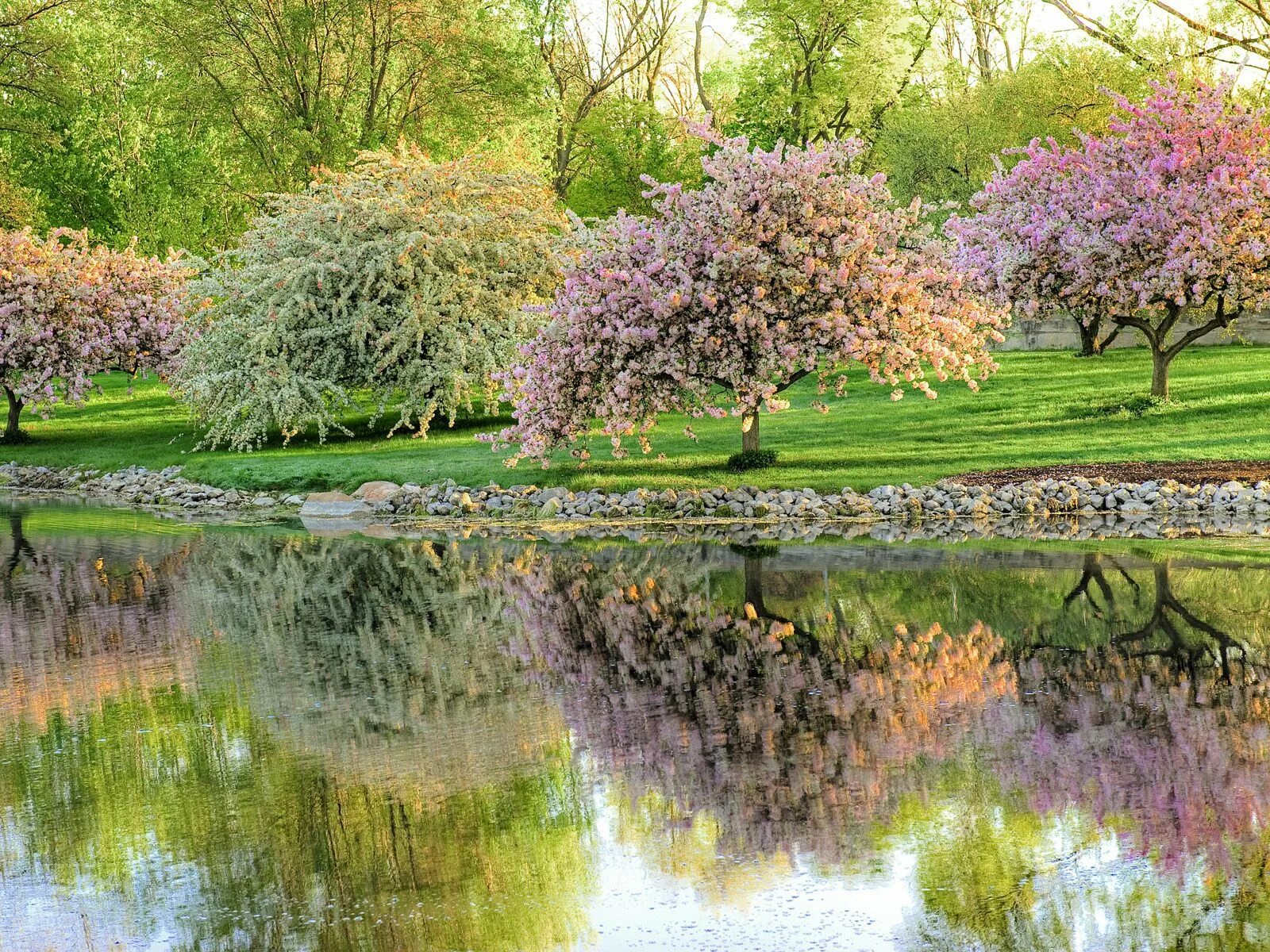 Springtime