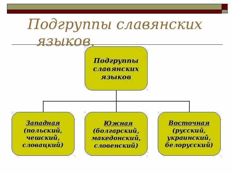 Подгруппы славянских языков. Деление славянских языков на группы. Три подгруппы славянских языков. Славянская группа языков.