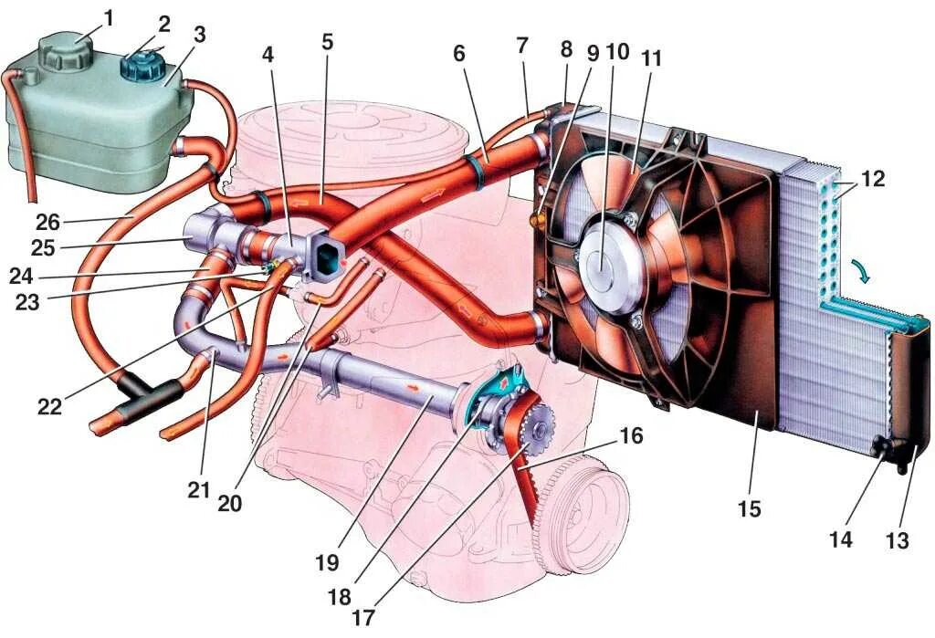 Почему греется калина. Система охлаждения двигателя ВАЗ 2110. ВАЗ 2110 система охлаждения двигателя 8. Система охлаждения ВАЗ ВАЗ 2110.