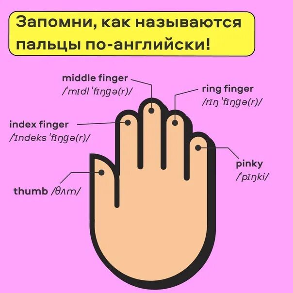 Название пальцев. Название пальцев на руке. Как называются пальцы. Название пальцев на англ.