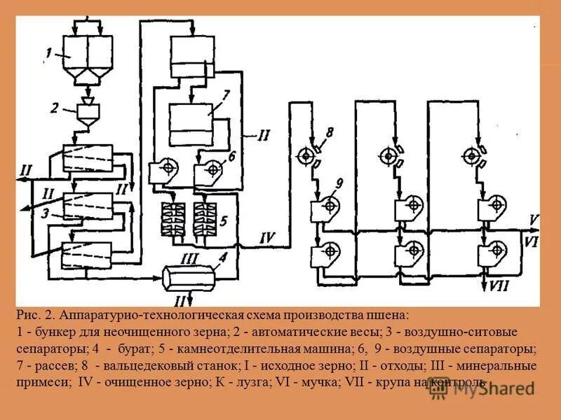 Технологическая схема производства крупы. Технологическая схема производства гречневой крупы. Аппаратурно-технологическая схема обработки ржи. Технология производства гречневой крупы схема. Перечислите этапы производства круп