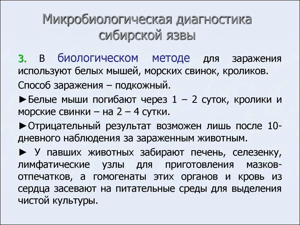 Диагноз сибирская язва. Биологический метод диагностики сибирской язвы. Алгоритм диагностики сибирской язвы. Микробиологическая диагностика сибирской язвы. Методы микробиологической диагностики сибирской язвы.