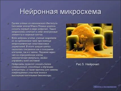 Удалось удалось группе ученых