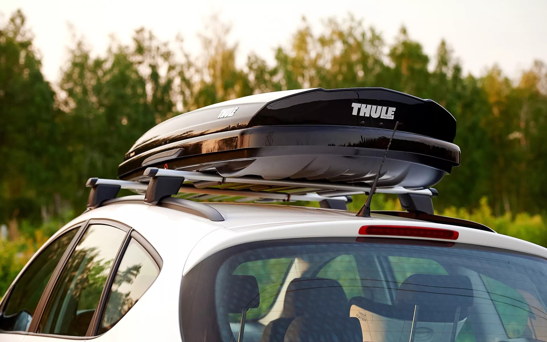 Thule dynamic. Thule Dynamic m 800. Бокс Thule Dynamic 800. Бокс Thule Dynamic m 800. Thule Dynamic m (320 л).