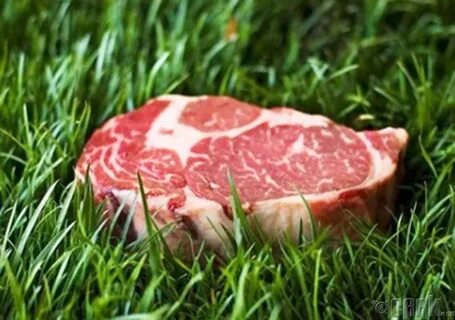 Grass fed