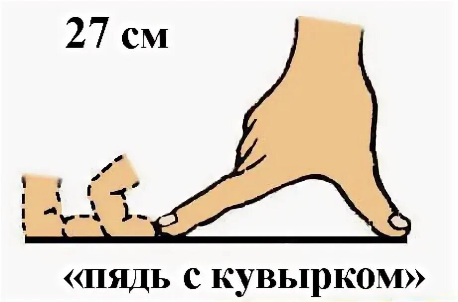 техника выполнения кувырка назад из упора присев. кувырком буквы. кувырок вперед рисунок. заяц катится с горы. заяц кувырок.