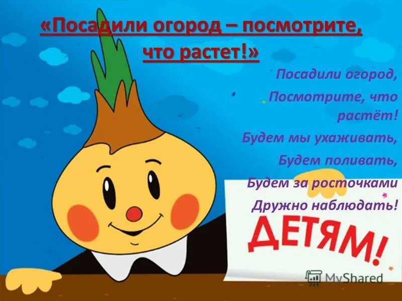 Стихи про взрослых детей. Мы сажаем огород посмотрите что растет. Песня посадили огород. Стихи про огород на окне. Песня посадили огород.