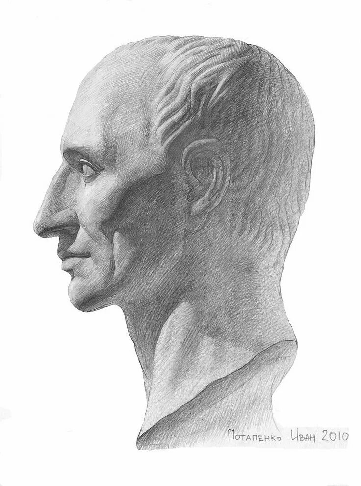 Дорифор мархи гипсовая голова. Голова цезаря мархи. Голова цезаря рисунок. Гаттамелата гипсовая голова мархи. Голова цезаря рисунок.
