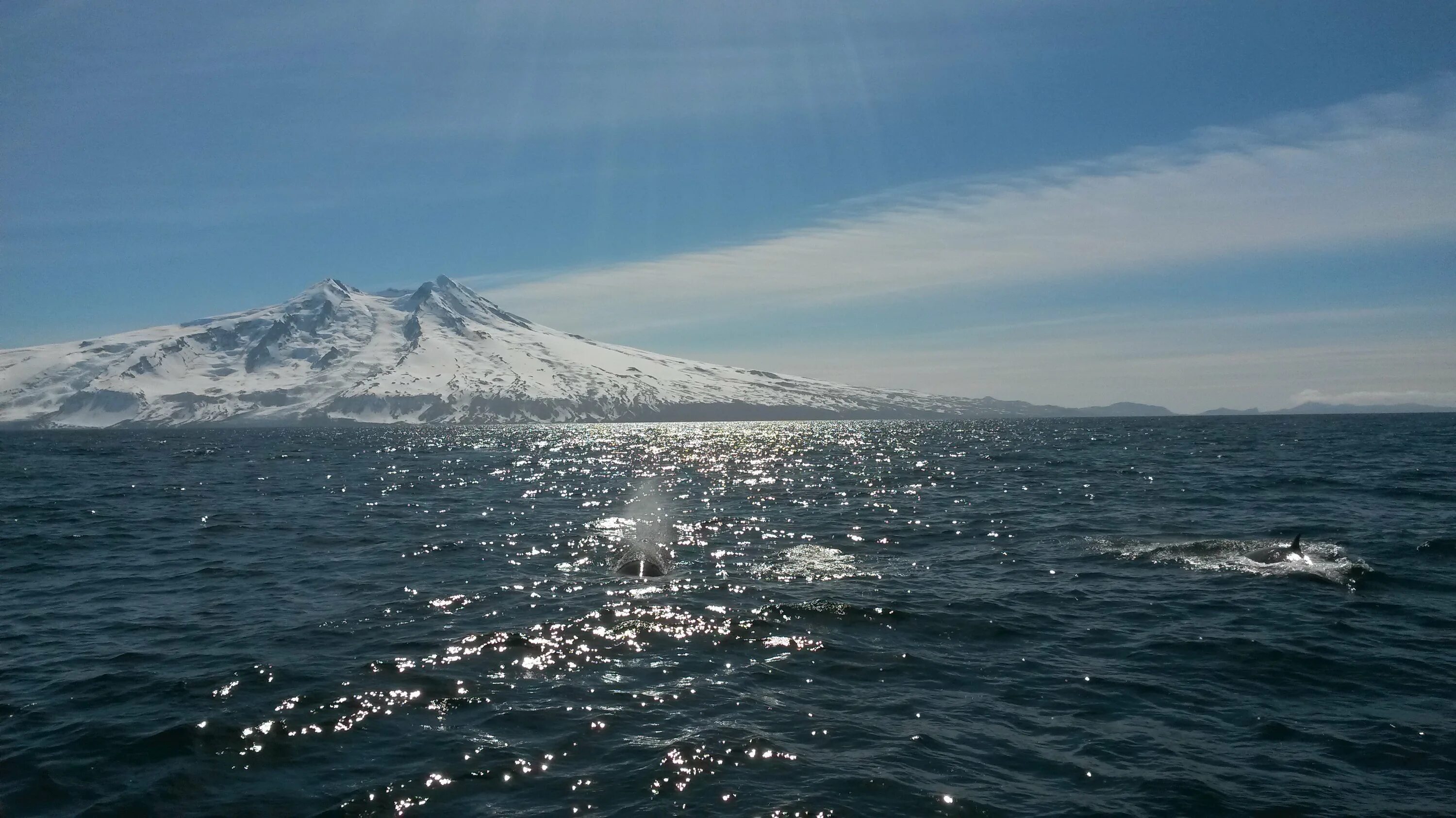 Название океана камчатка. Камчатка Берингово море. Охотское море тихий океан. Бериногово моря каматка. Камчатка тихий океан Охотское море.