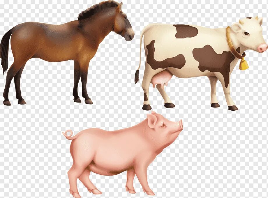 Корова и овца. Корова и лошадь. Корова лошадь свинья. Корова овца лошадь. Корова свинья собака кошка