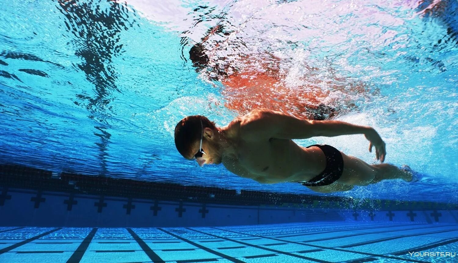 Спортивное плавание Баттерфляй. Пловец в бассейне. Красивый спортивный бассейн.