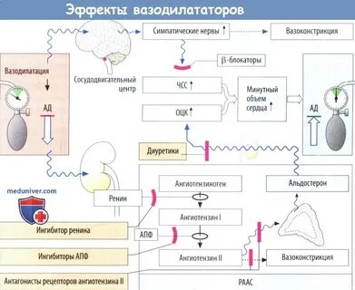 Вазодилататоры при сердечной недостаточности