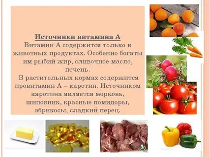 Продукты растительного происхождения богатые витамином а