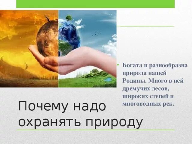 Почему нужно беречь и защищать животных. Природу надо беречь. Природу надо беречь и охранять. Почему люди охраняют природу. Зачем человеку нужно охранять природу.