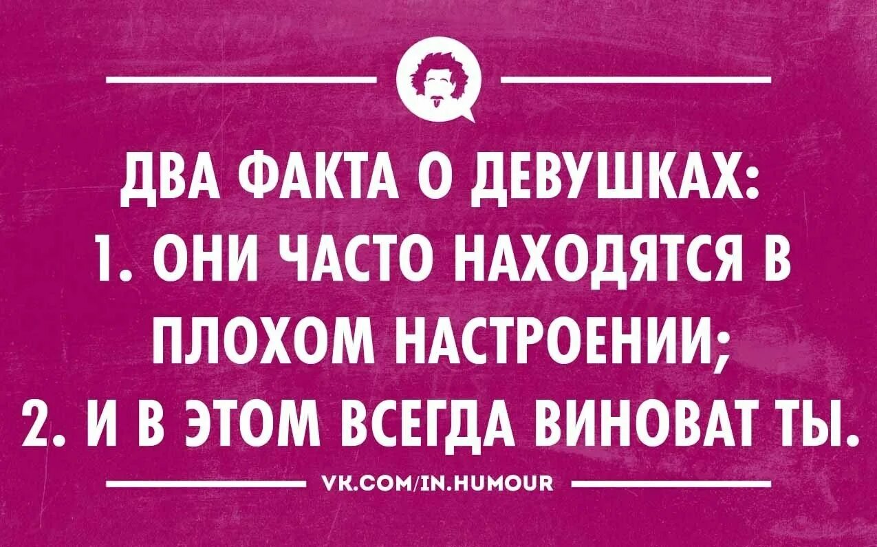 Глупые факты смешные. Плохая девочка юмор. Тупые интересные факты. Тупые смешные факты. Глупые факты