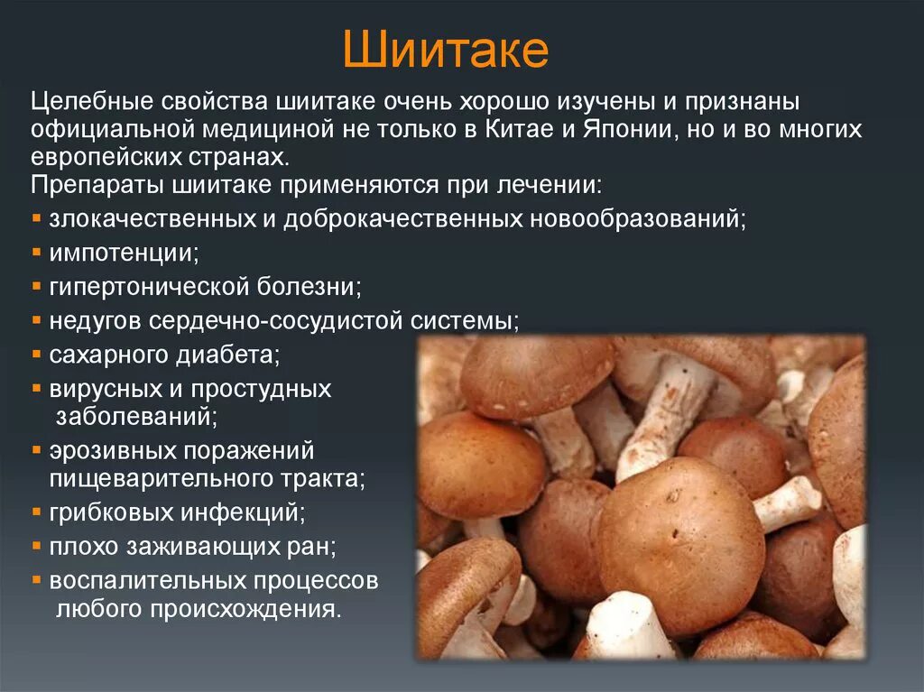 Полезные свойства грибов шитаки. Полезные свойства грибов шиитаке. Характеристика гриба шиитаке. Грибы полезные свойства. Грибы при онкологии отзывы