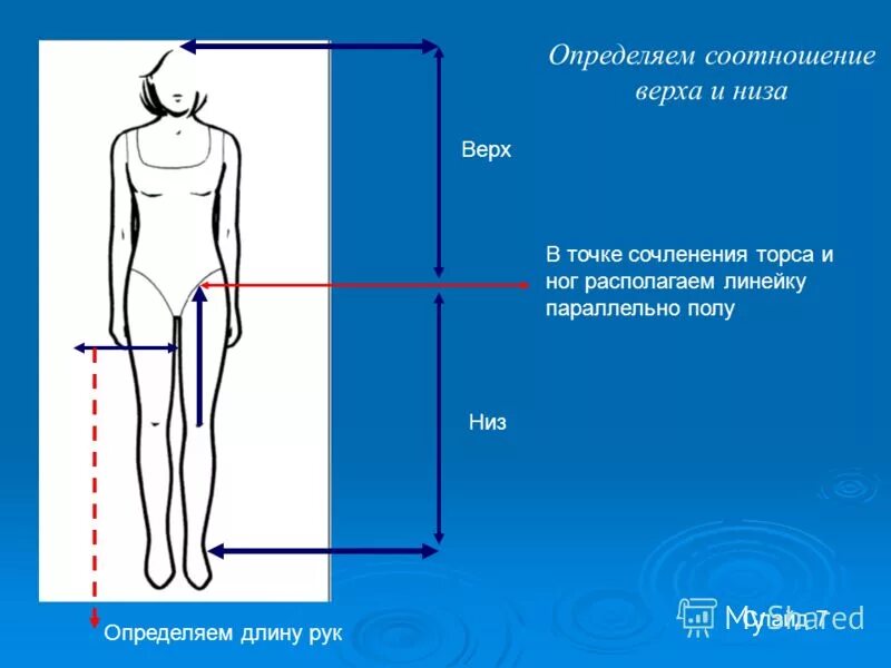 Длина рук составляет. Измерить длину ног. Пропорции туловища и ног. Соотношение тела и ног у женщин. Соотношение длины туловища к длине ног.