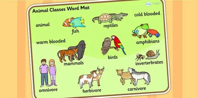 Дети животных на английском. Class animal. Звери рыбы насекомые. Домашние животные на английском для детей. Animal classes.