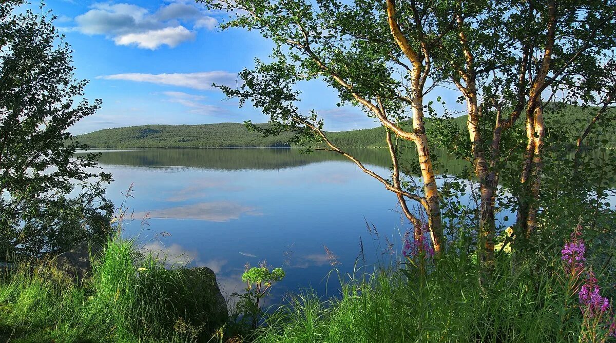 Полярный день. Озеро лапоть мурманская область. Озеро лапоть. Питьевое озеро мурманск. Озеро лапоть мурманск.